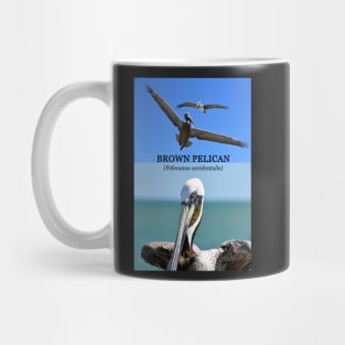 Brown Pelican educational Mug